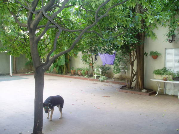 patio